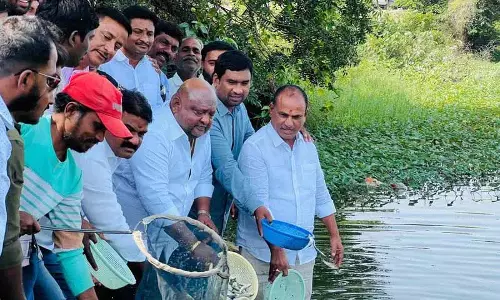 Gangula कमलाकर ने दोषपूर्ण मछली पौध वितरण के लिए सरकार की आलोचना की Gangula कमलाकर ने दोषपूर्ण मछली पौध वितरण के लिए सरकार की आलोचना की