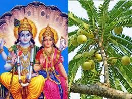 Akshaya Navami के दिन कर लें ये काम, भगवन विष्णु की होगी कृपा