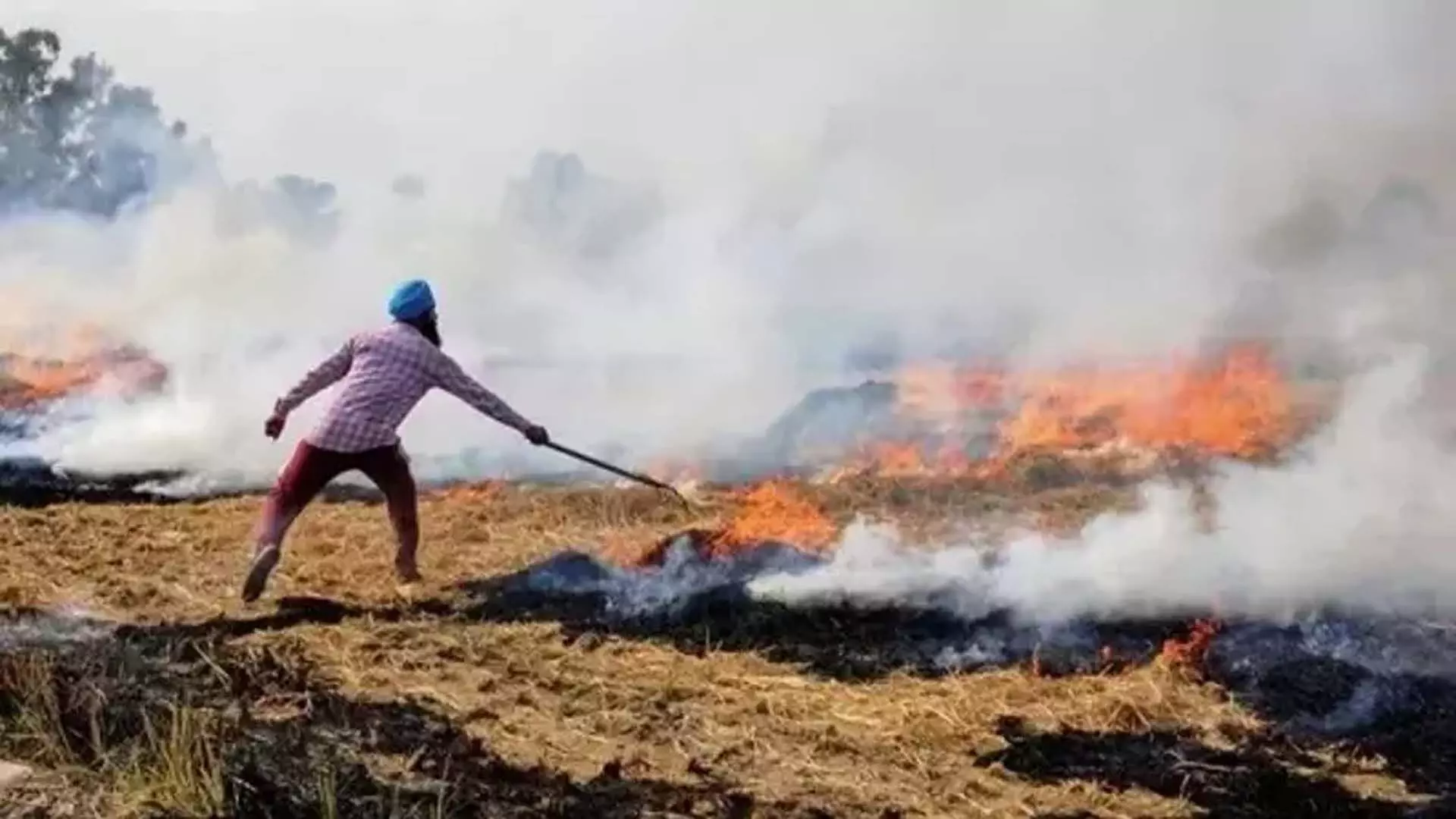 Punjab, हरियाणा के बड़े हिस्से में वायु गुणवत्ता खराब