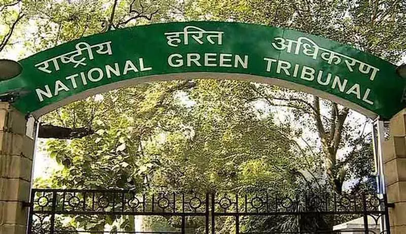 NGT ने रंगाई उद्योग को अंतरिम राहत दी