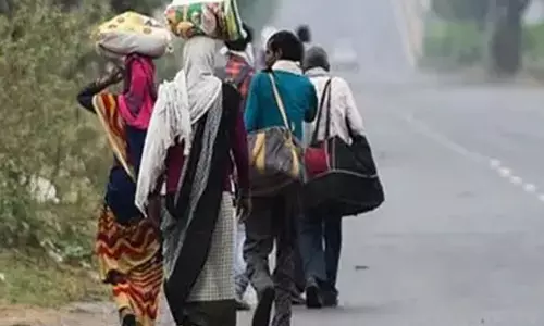 मजदूरों के पलायन रोकने कलेक्टर ने दिए सख्त निर्देश मजदूरों के पलायन रोकने कलेक्टर ने दिए सख्त निर्देश