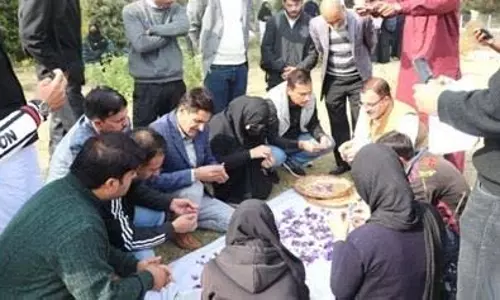 J&K: जीडीसी बारामूला ने मनाया ‘जश्नी केसर-2024’