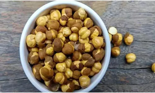 रोजाना प्रोटीन से भरपूर भुने चने खाए