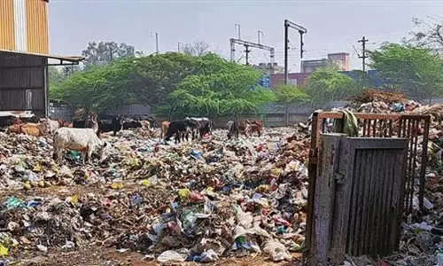 Haryana : फरीदाबाद में डोर-टू-डोर कूड़ा कलेक्शन के लिए टेंडर प्रक्रिया पर नगर निगम ने रोक लगाई Haryana : फरीदाबाद में डोर-टू-डोर कूड़ा कलेक्शन के लिए टेंडर प्रक्रिया पर नगर निगम ने रोक लगाई