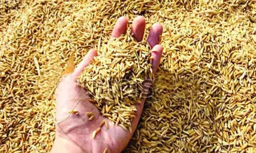 धान बेचने टोकन सिस्टम को लेकर किसानों के लिए अहम खबर