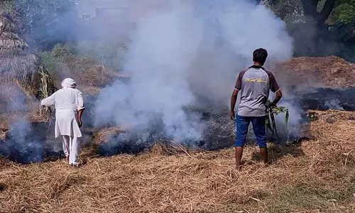 Haryana : कैथल में धान की पराली जलाने पर 4 किसान गिरफ्तार