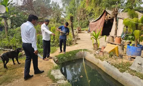 Haryana : कुरुक्षेत्र में डेंगू के मामले बढ़े, स्वास्थ्य विभाग ने घर-घर जाकर सर्वे शुरू किया Haryana : कुरुक्षेत्र में डेंगू के मामले बढ़े, स्वास्थ्य विभाग ने घर-घर जाकर सर्वे शुरू किया
