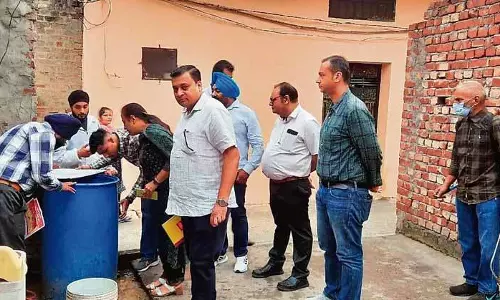 स्वास्थ्य विभाग ने Phagwara में डेंगू के लार्वा की जांच की