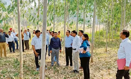 Haryana :  सरकार यमुनानगर में आदिबद्री, लोहगढ़ का विकास करेगी