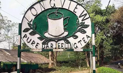 Labour Department: कुर्सियांग उपखंड में लॉन्गव्यू चाय बागान सोमवार को फिर से खुलेगा
