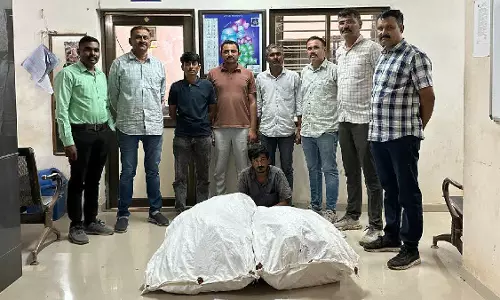पकड़ी गई गांजे की खेती, SOG टीम ने वाडी में छापा मारकर गांजे के पौधे के साथ 1 व्यक्ति को पकड़ा