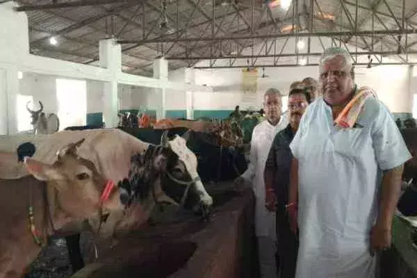 Bokaro: गोपाष्टमी पर आदर्श गौशाला में हुई गायों की पूजा