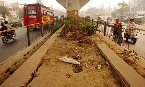 Amritsar: हरित पट्टी की उपेक्षा से जन आक्रोश Amritsar: हरित पट्टी की उपेक्षा से जन आक्रोश