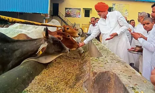 Haryana सरकार सुनिश्चित करेगी कि चारागाह भूमि का उपयोग केवल मवेशियों के लिए Haryana सरकार सुनिश्चित करेगी कि चारागाह भूमि का उपयोग केवल मवेशियों के लिए