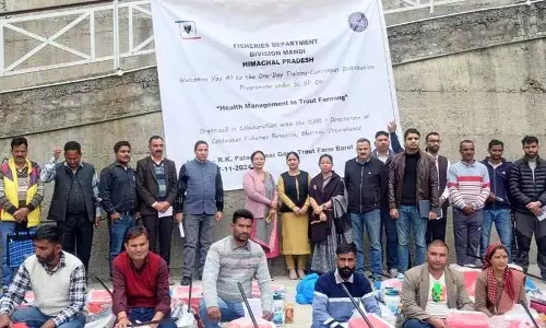 Mandi में ट्राउट मछली पालकों के लिए एक दिवसीय प्रशिक्षण कार्यक्रम आयोजित Mandi में ट्राउट मछली पालकों के लिए एक दिवसीय प्रशिक्षण कार्यक्रम आयोजित