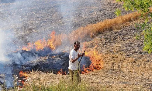 Bareilly: खेतों में पराली जलाने के मामले किसानों पर जुर्माना और एफआईआर दर्ज Bareilly: खेतों में पराली जलाने के मामले किसानों पर जुर्माना और एफआईआर दर्ज