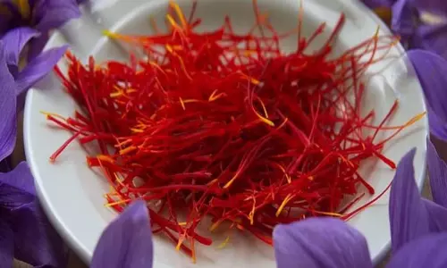 घर में लाल सोना की खेती, कितनी है कीमत? क्यों है इतना खास