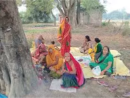 Lucknow: महिलाओं ने अक्षय नवमी पर की आंवला वृक्ष की पूजा-अर्चना Lucknow: महिलाओं ने अक्षय नवमी पर की आंवला वृक्ष की पूजा-अर्चना