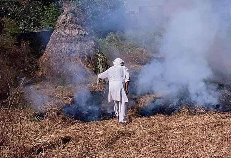 Haryana : धान की पराली जलाने पर सात लोग गिरफ्तार Haryana : धान की पराली जलाने पर सात लोग गिरफ्तार