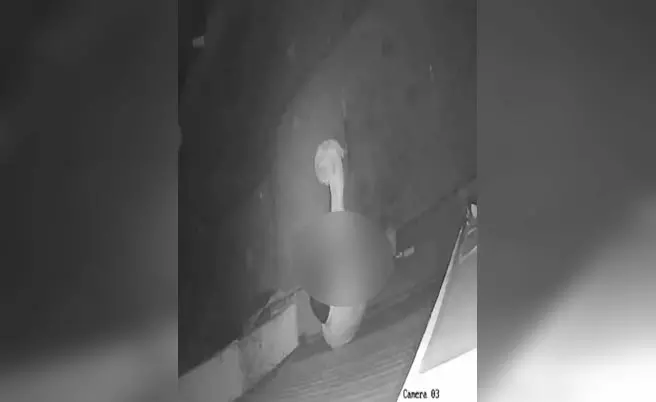 युवक पर आवारा कुत्ते से बलात्कार के प्रयास का मामला दर्ज युवक पर आवारा कुत्ते से बलात्कार के प्रयास का मामला दर्ज
