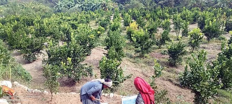 धर्मपुर में शिवा परियोजना पर संकट, अनदेखी के आरोप