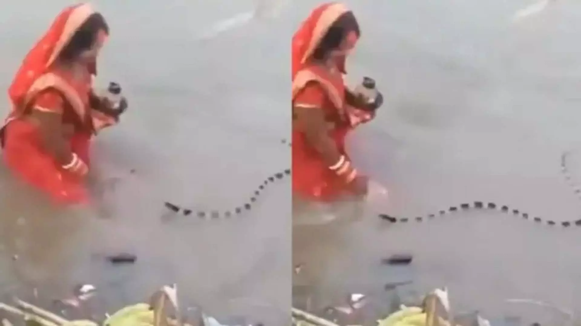 VIDEO: छठ पूजा के दौरान निडर महिला के सामने आया ज़हरीला सांप, फिर जो हुआ... VIDEO: छठ पूजा के दौरान निडर महिला के सामने आया ज़हरीला सांप, फिर जो हुआ...