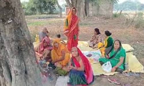 Lucknow: महिलाओं ने अक्षय नवमी पर की आंवला वृक्ष की पूजा-अर्चना Lucknow: महिलाओं ने अक्षय नवमी पर की आंवला वृक्ष की पूजा-अर्चना