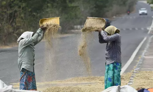 Odisha: टिकाऊ भोजन के लिए बाजरे की क्षमता का दोहन