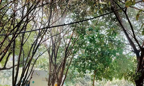 Haryana : गुरुग्राम की सोसायटियां भी यही कर रही हैं धुंध से लड़ने के लिए Haryana : गुरुग्राम की सोसायटियां भी यही कर रही हैं धुंध से लड़ने के लिए