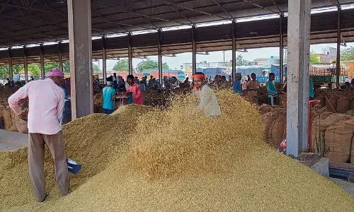 Haryana : जांच में पता चला कि करनाल की 2 और मंडियों में गेट पास का रिकॉर्ड मिटा दिया