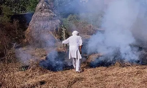 Haryana : धान की पराली जलाने पर सात लोग गिरफ्तार Haryana : धान की पराली जलाने पर सात लोग गिरफ्तार