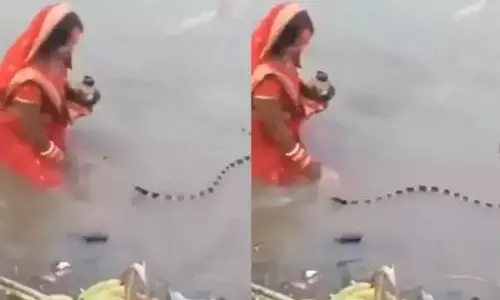VIDEO: छठ पूजा के दौरान निडर महिला के सामने आया ज़हरीला सांप, फिर जो हुआ...
