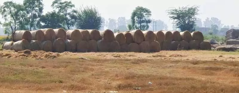 Faridkot में मशीन मालिकों ने गांठों के भंडारण के लिए जमीन उपलब्ध कराई