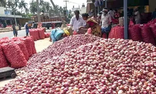 Bhubaneswar: ओडिशा में प्याज की कीमतें आसमान छू रही Bhubaneswar: ओडिशा में प्याज की कीमतें आसमान छू रही