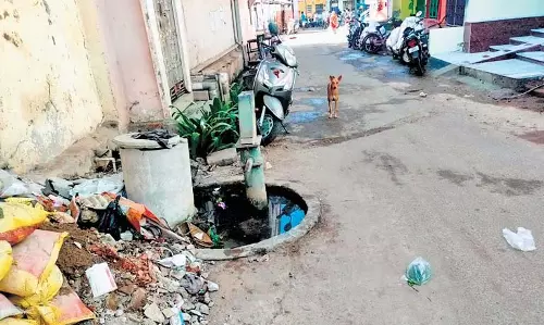 Odisha में नगर निगम की निष्क्रियता के कारण मच्छरों का खतरा Odisha में नगर निगम की निष्क्रियता के कारण मच्छरों का खतरा