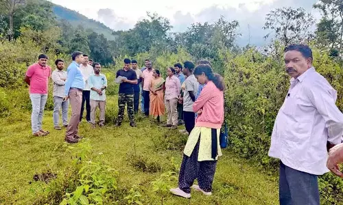 ASR जिला पुलिस ने गांजा की खेती पर कार्रवाई की ASR जिला पुलिस ने गांजा की खेती पर कार्रवाई की