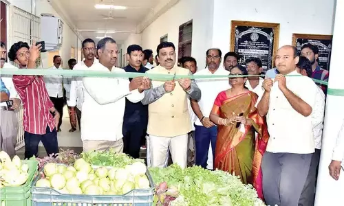 AP: लोगों को प्राकृतिक कृषि उत्पादों का उपभोग करने के लिए कहा गया AP: लोगों को प्राकृतिक कृषि उत्पादों का उपभोग करने के लिए कहा गया