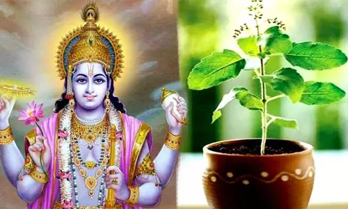 देवउठनी एकादशी के दिन क्यों होता है तुलसी विवाह देवउठनी एकादशी के दिन क्यों होता है तुलसी विवाह