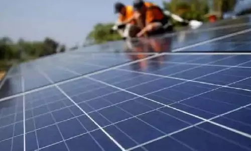 वारी रिन्यूएबल ने Tamil Nadu में 41.6 मेगावाट की सौर परियोजना हासिल की
