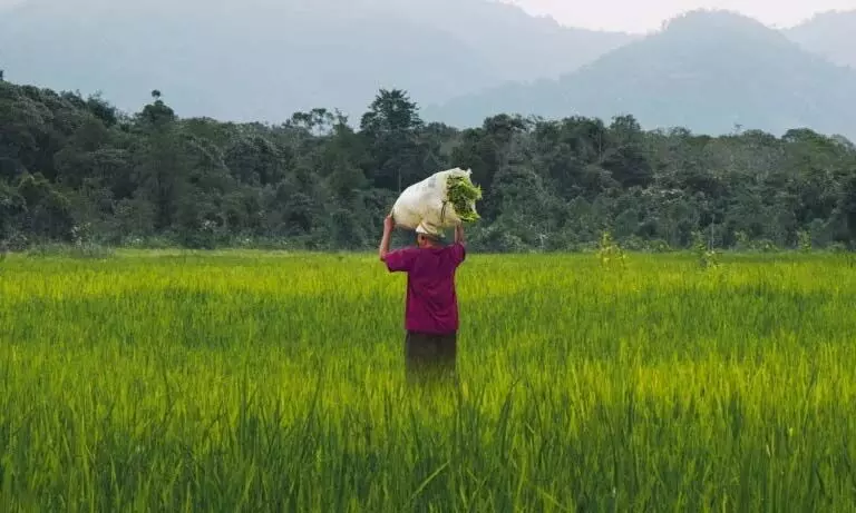 Assam: कृषि पर चर्चा के लिए डिफू में विशेषज्ञ एकत्रित हुए