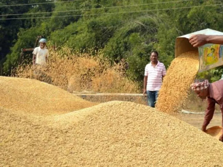 खाद्य मंत्री दयालदास बघेल ने धान खरीदी को लेकर दिया बड़ा बयान