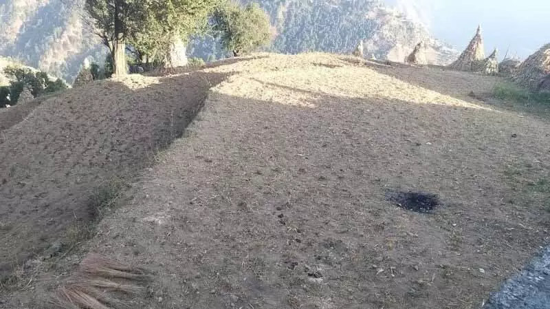 लंबे समय तक सूखा, उच्च तापमान से Chamba के किसान चिंतित