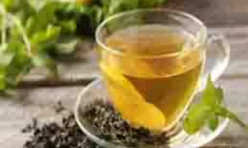 Green tea: लाभ और हानि, किसे नहीं पीना चाहिए ग्रीन टी Green tea: लाभ और हानि, किसे नहीं पीना चाहिए ग्रीन टी