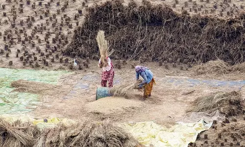Haryana :  झज्जर में फसल अवशेष प्रबंधन के लिए पंजीकरण में तीन गुना वृद्धि