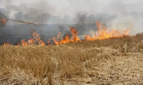 Haryana :  पंजाब, हरियाणा के कई हिस्सों में वायु गुणवत्ता ‘खराब’