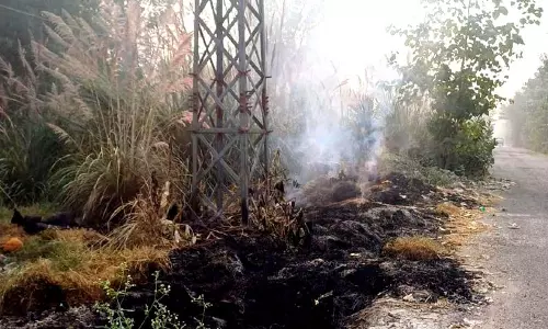 बहादुरगढ़ में ठोस कचरा जलता हुआ पाया गया, HSIIDC अधिकारी को नोटिस जारी बहादुरगढ़ में ठोस कचरा जलता हुआ पाया गया, HSIIDC अधिकारी को नोटिस जारी