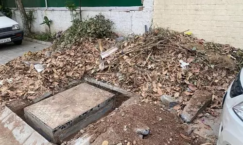 Haryana : बागवानी अपशिष्ट उठाने के लिए गुरुग्राम नगर निगम अधिक वाहन किराए पर लेगा Haryana : बागवानी अपशिष्ट उठाने के लिए गुरुग्राम नगर निगम अधिक वाहन किराए पर लेगा
