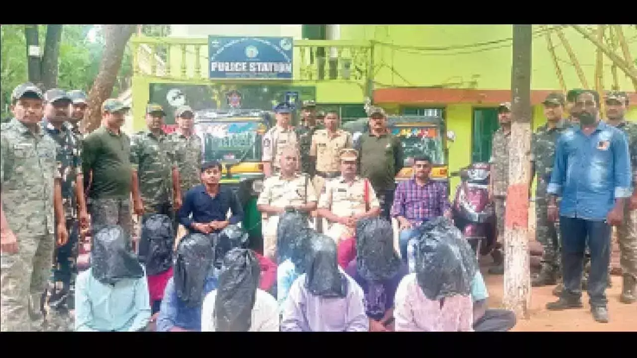Andhra Pradesh: लाल चंदन के पेड़ काटने की कोशिश में 13 लोग गिरफ्तार Andhra Pradesh: लाल चंदन के पेड़ काटने की कोशिश में 13 लोग गिरफ्तार