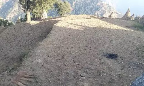 लंबे समय तक सूखा, उच्च तापमान से Chamba के किसान चिंतित