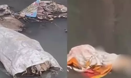 Mumbai: 5 कुत्तों की निर्मम हत्या के विरोध में 17 नवंबर को पशु मोमबत्ती जलाकर विरोध प्रदर्शन Mumbai: 5 कुत्तों की निर्मम हत्या के विरोध में 17 नवंबर को पशु मोमबत्ती जलाकर विरोध प्रदर्शन